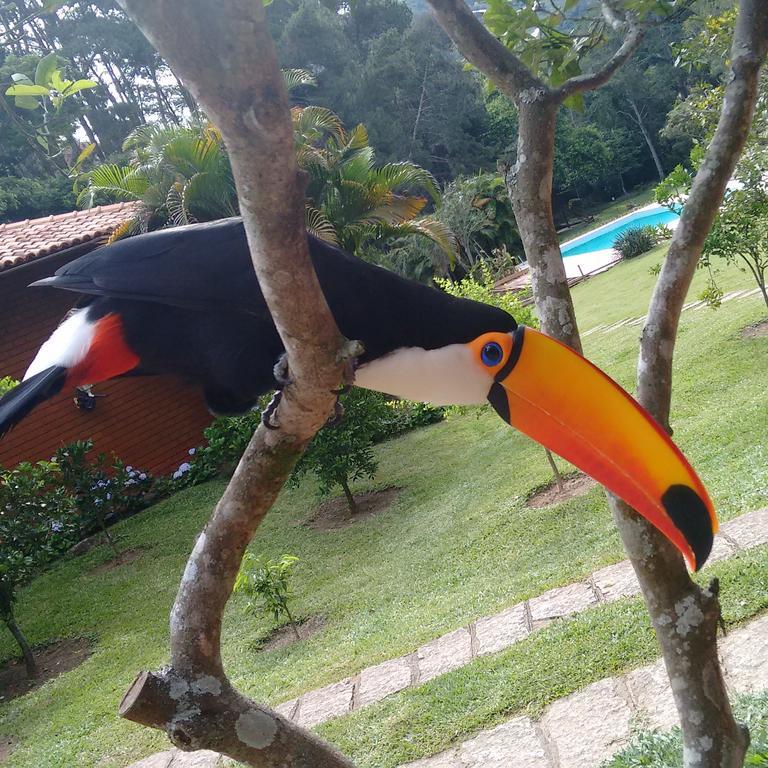 Pousada Tucano Do Cuiaba Itaipava Экстерьер фото