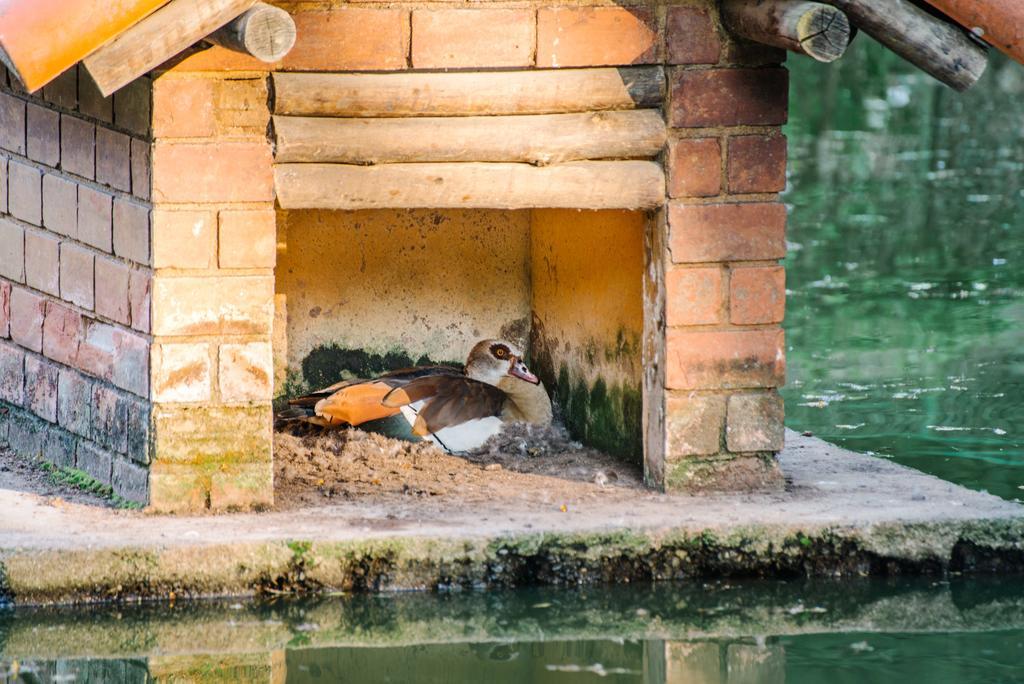 Pousada Tucano Do Cuiaba Itaipava Экстерьер фото