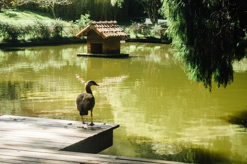 Pousada Tucano Do Cuiaba Itaipava Экстерьер фото
